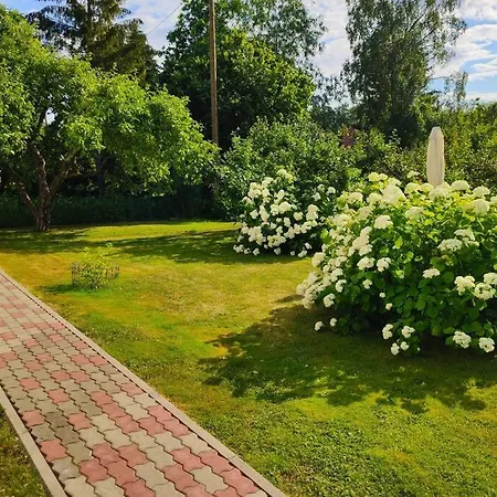 Fantastic 170m2 With A Big Garden And Free Ev Recharger Puhkemaja Parnu