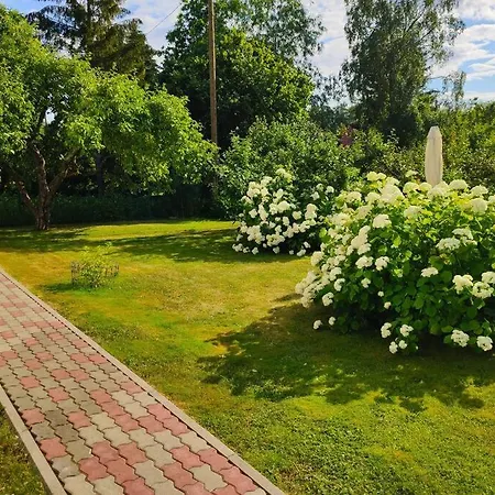 Fantastic 170m2 With A Big Garden Holiday home Parnu