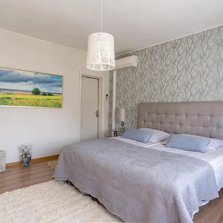 Fantastic 170m2 With A Big Garden And Free Ev Recharger Parnu