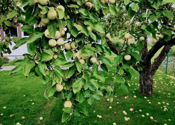 Fantastic 170m2 With A Big Garden